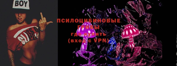 молекула духа Баксан
